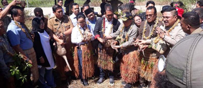 1_-_8_-_2018__Komisi_IV_DPR_RI_lepasliarkan_kanguru_di_Taman_Nasional_Wasur.jpg