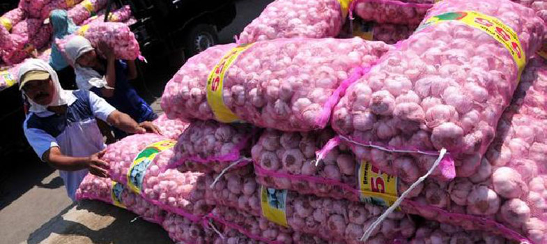 Komisi_IV_Dorong_BULOG_Impor_Bawang_Putih.jpg
