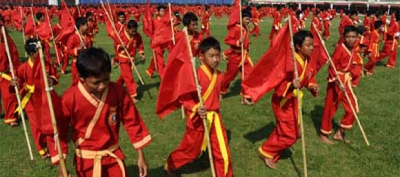 Pencak_silat_diminati_pemerintah_suriname_22819.jpg