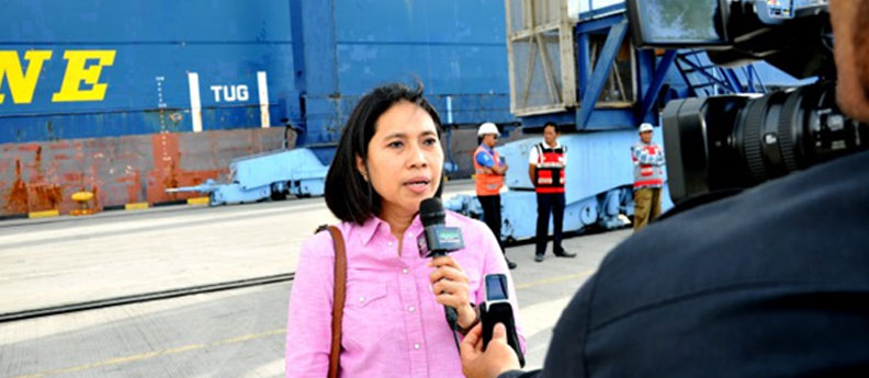 dpr-bawang.jpg