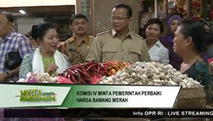 perbaiki-harga-bawang-merah.jpg